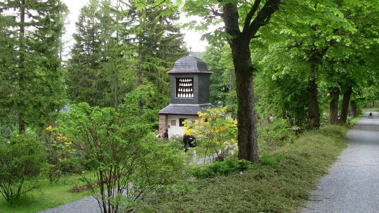 Ferienwohnung Haus Waldeck Altenberg  Exterior foto